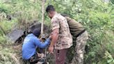 Efforts underway to drive leopard, cubs, spotted in quarry, back into forest in Erode’s Talavadi