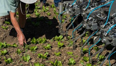 Could AI robots with lasers make herbicides — and farm workers — obsolete?