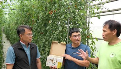 台塑農業輔導團隊推廣熊蜂授粉 助農民發展智慧農業 - 寶島