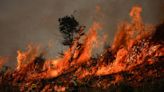 Opinião - Tercio Borlenghi Junior: O que estamos fazendo diante da catástrofe climática?