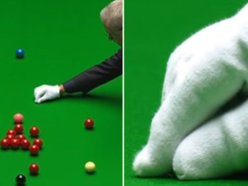Insect disrupts World Snooker Championship again days after star ate fly