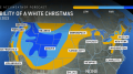 Good news, bad news for US travel and white Christmas hopes