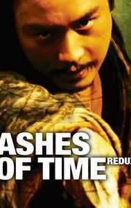 Ashes of Time Redux