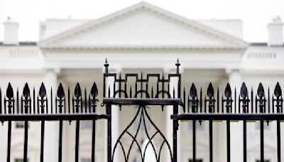 Driver dies after crashing into White House perimeter gate