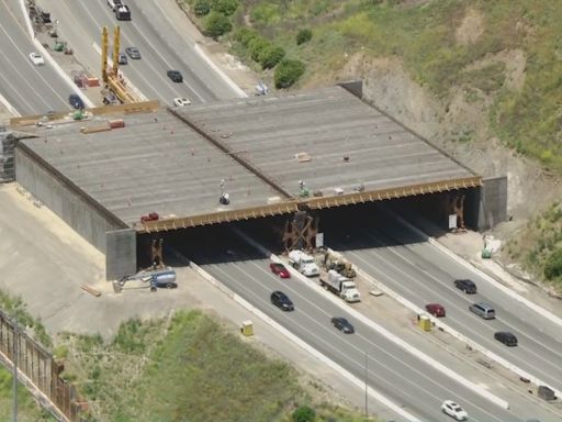 Construction continues on Agoura Hills wildlife crossing over 101 Freeway