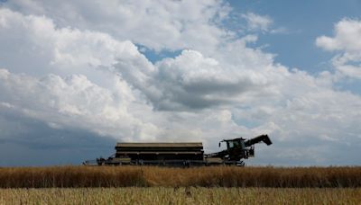 Ucrania exporta 6,3 millones de toneladas de cereales en abril, según el ministerio