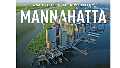 An interactive ecological time machine takes you to New York City in 1609