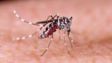 Maricopa County health officials report 1 case of dengue, offer free at-home tests
