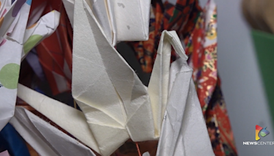 Cranes of Hope: A journey to peace through origami