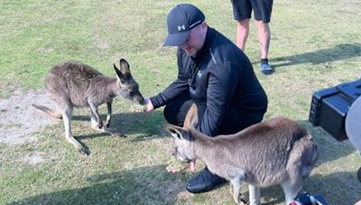 Littler feeds kangaroos in Oz as fans say 'the Goat visiting an animal park'