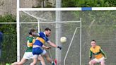 Louth JFC: Taaffe and Brennan star as Wolfe Tones get the better of Drogheda rival St Nicholas