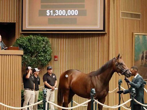 Bullish Market Continues Thursday At Keeneland September Yearling Sale