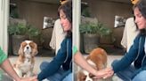 Courteney Cox’s Dog Adorably Fails While Trying Viral ‘Hands In’ Challenge