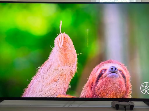 Roku Pro Series TV Review: a flagship mini-LED TV for a reasonable price