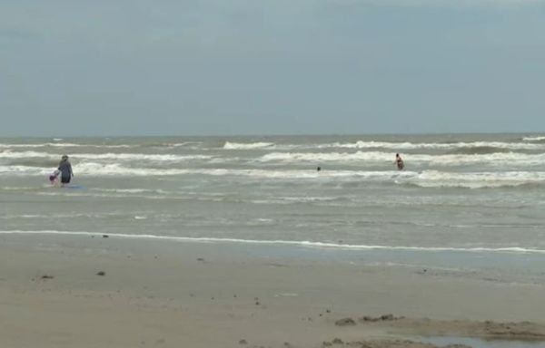 Teen survives shark bite off Texas beach: 'I started punching it'