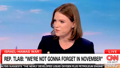 Former Biden aide annoyed on CNN after James Carville says Dems are 'full of s---': Be ‘constructive'