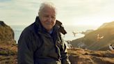 Sir David Attenborough to make BBC comeback with new nature series