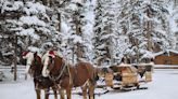 The Only Way to Get to This Cozy Candelit Dinner Is by Sleigh Ride
