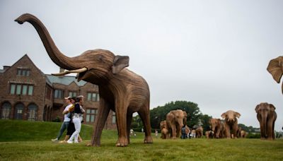 PHOTOS: Elephants arrive in Newport
