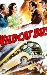 Wildcat Bus