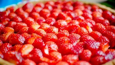 Des bots d’extrême-droite ont-ils été démasqués par une simple recette de la tarte aux fraises ?