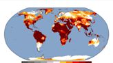 Nearly 5 billion people lived under extreme temperatures in June, study finds