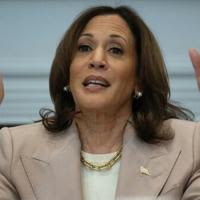 US Vice President Kamala Harris has led a nationwide tour on reproductive rights