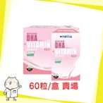 ?免運? 孕婦專用 植物性 藻油 DHA + 綜合維他命  60粒/盒