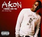 I Wanna Love You (Akon song)