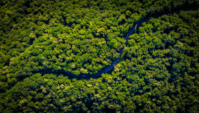 Who Are The Mashco Piro? Uncontacted Tribe In Peruvian Amazon...Habitat Crisis With Logging Set To Begin In Forest