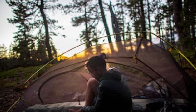 Tell us: What's your California wilderness survival story?