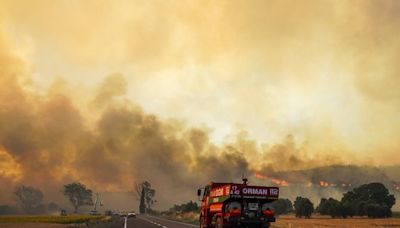 Turquie : Au moins onze morts après un violent incendie et une hécatombe de bétail