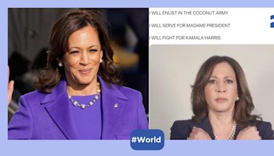 Why are coconut tree memes trending as Kamala Harris begins her Presidential run? Here's all the scoop!