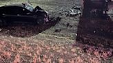 Esmeralda County crash kills New Mexico woman