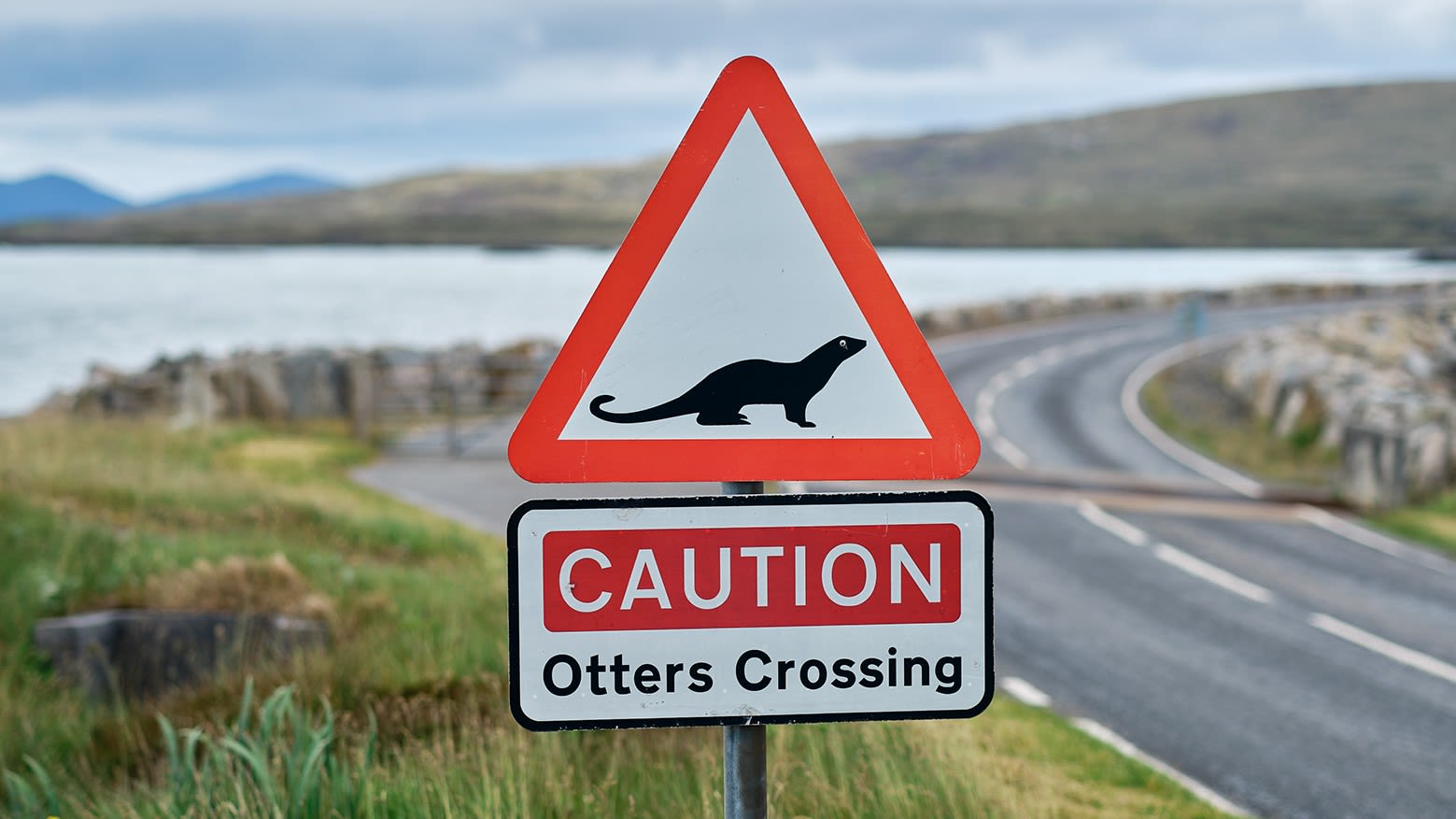 Rogue otters and vicious letterboxes: on the campaign trail in the Outer Hebrides