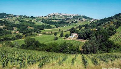 Head To Campania For Italy’s Most Distinctive White Wines