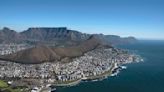 Dead seals on Cape Town beaches raise fears about widening rabies outbreak