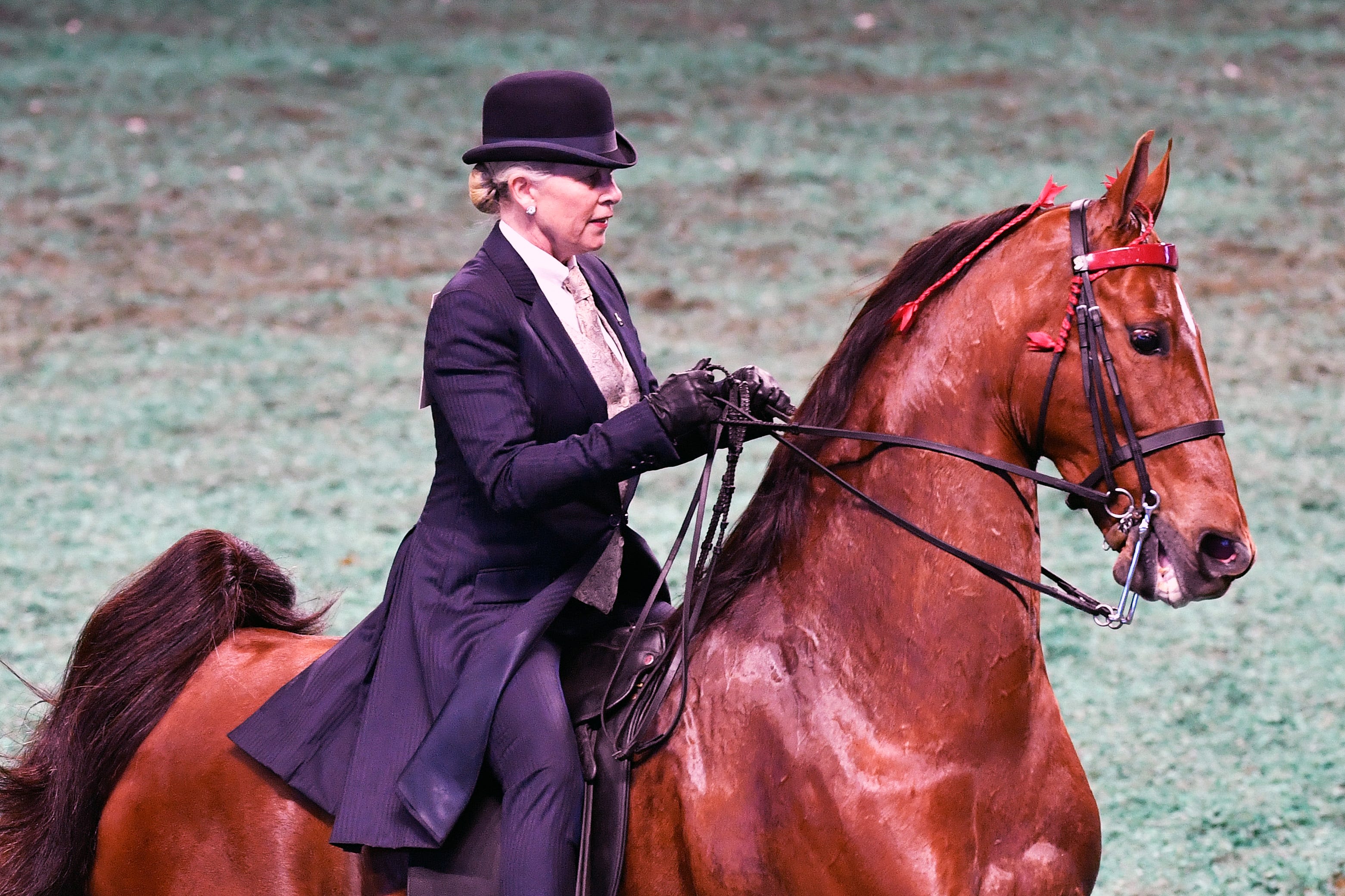 The World's Championship Horse Show at Kentucky State Fair brings top riders to Louisville