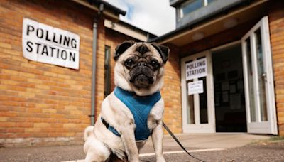 In Pictures: Shropshire dogs - and a pony - turn out as polls open for the General Election 2024