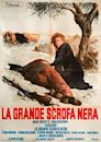 La grande scrofa nera