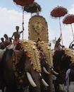 Thrissur Pooram