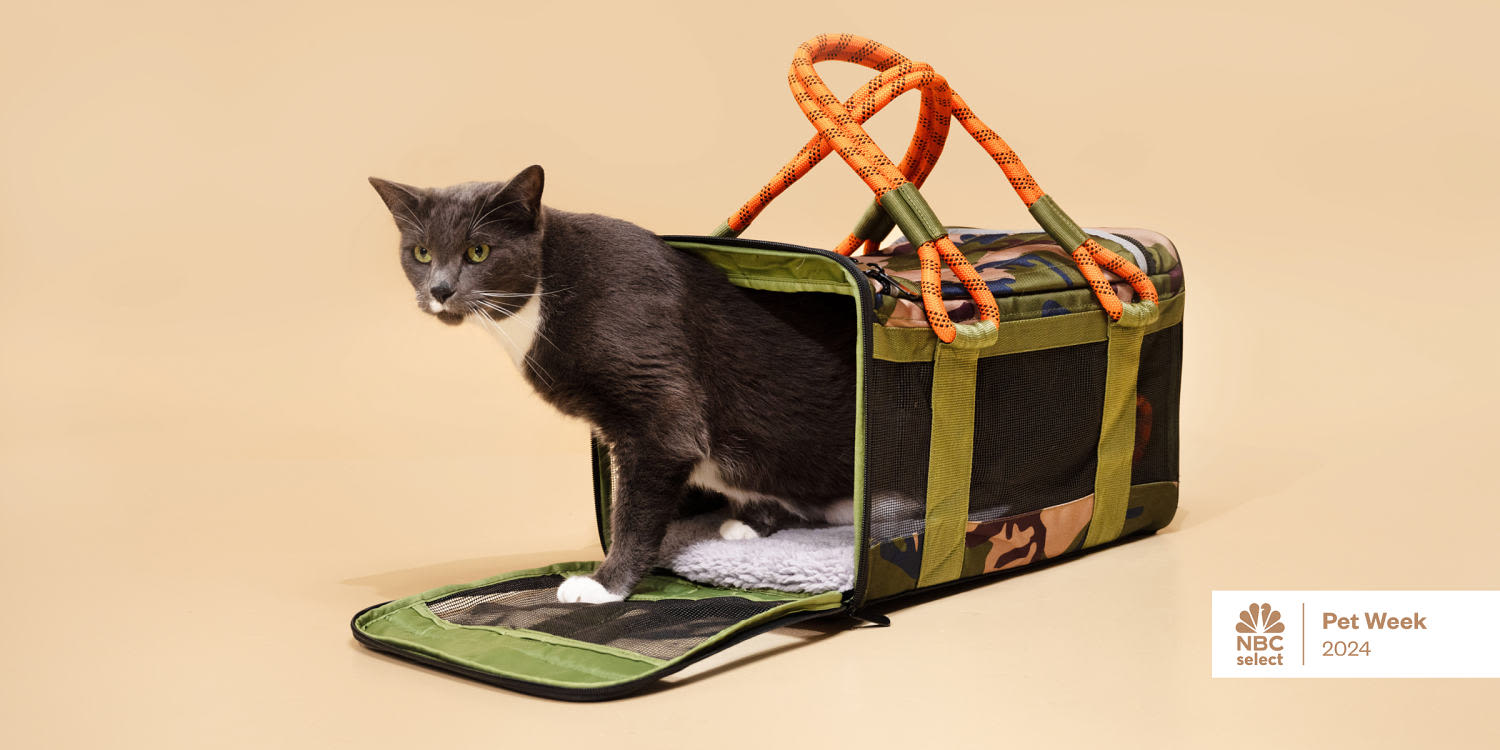 The best cat carriers for stress-free travel