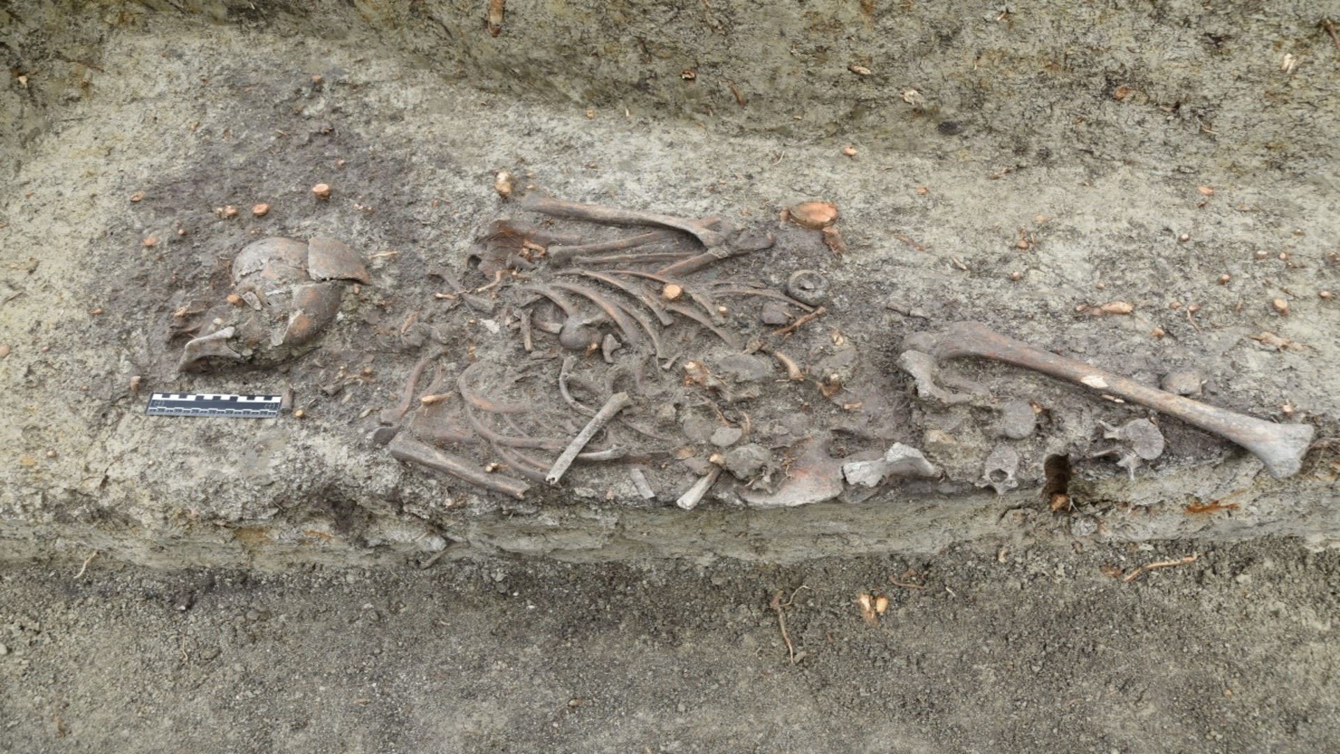 'Vampire' grave unearthed beneath bishop’s palace stuns archaeologists