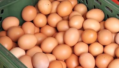雞農不敷成本！蛋價止跌回升 7/22起「每斤漲3元」 | 中天新聞網