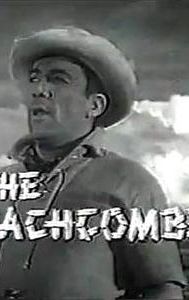 The Beachcomber