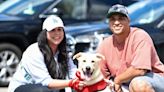 These Rescue Flights Brought 300 Pets Closer To New Families While Easing Puerto Rico's Homeless Pet Problem