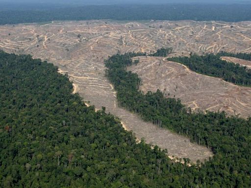 Alemania ya superó sus límites ecológicos previstos para todo 2024