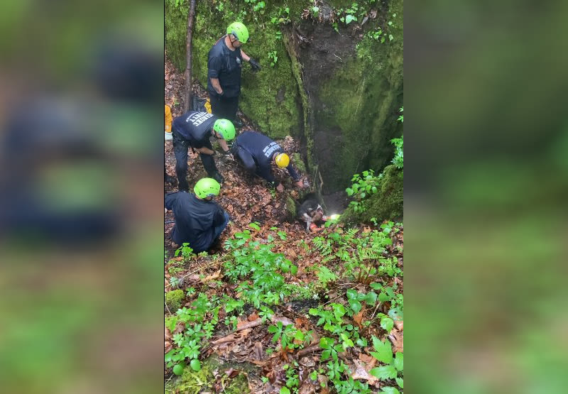 Watch: Dog rescued after falling into sinkhole in Craig County