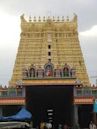 Sankarankovil