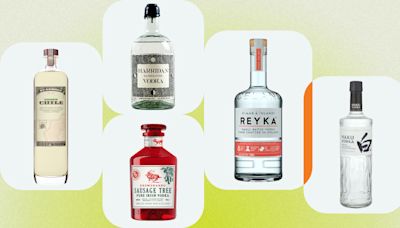 The 13 Best Vodkas to Buy Now